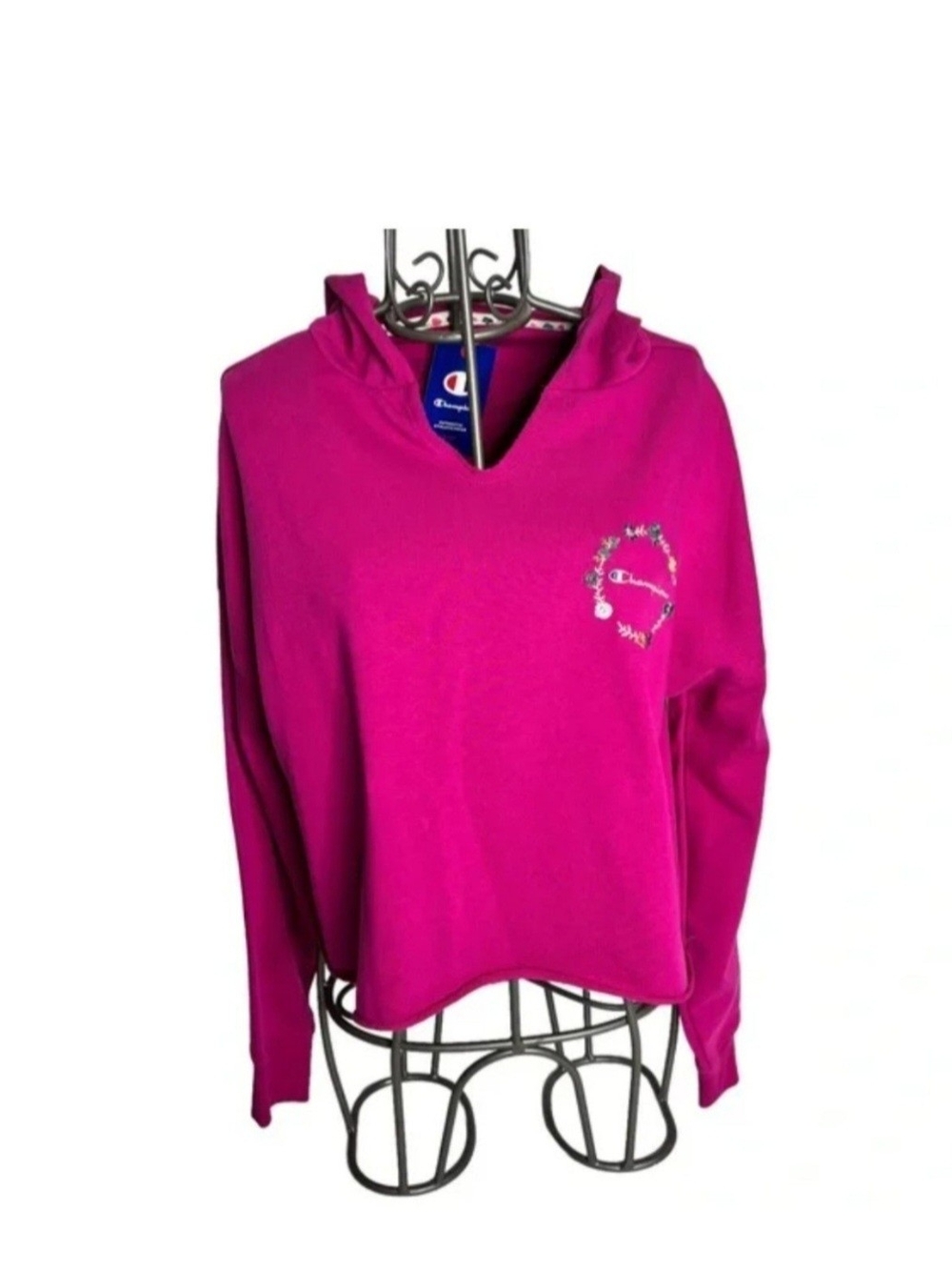 Champion Women's Fuchsia Hooded Sweatshirt with Chest Logo